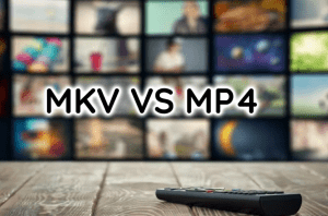 perbedaan mkv dan mp4